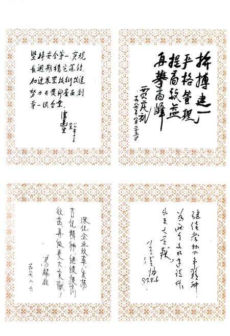 《吉林化学工业公司有机合成厂志(1976-1988)》.pdf_吉林省志预览图3