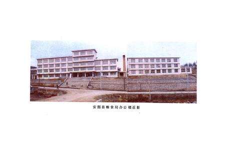 《安图县粮食志(1906-1985)》.pdf_吉林省志预览图4