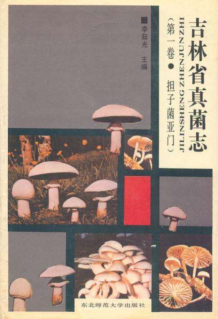 《《吉林省真菌志(第一卷·担子菌业门)》》.pdf_吉林省志缩略图