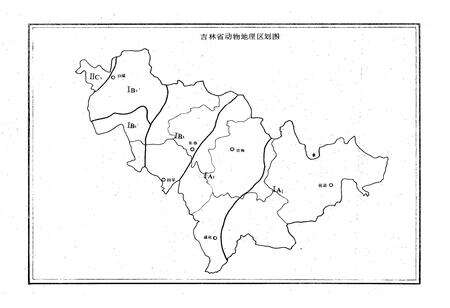 《长白山西南坡野生经济动物志》.pdf_吉林省志预览图3