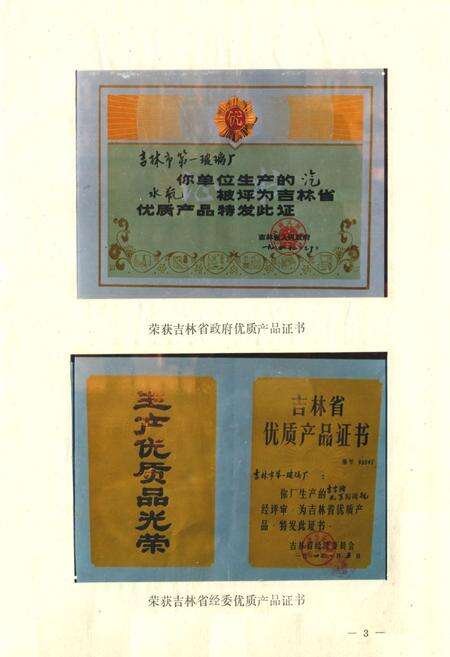 《《吉林市第一玻璃厂厂志》(1975-1985)》.pdf_吉林省志预览图5