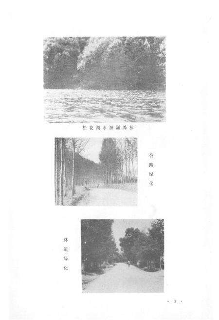 《《蛟河县林业志》》.pdf_吉林省志预览图4