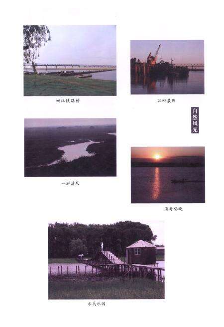 《大安市志(1986-2000)》.pdf_吉林省志预览图4