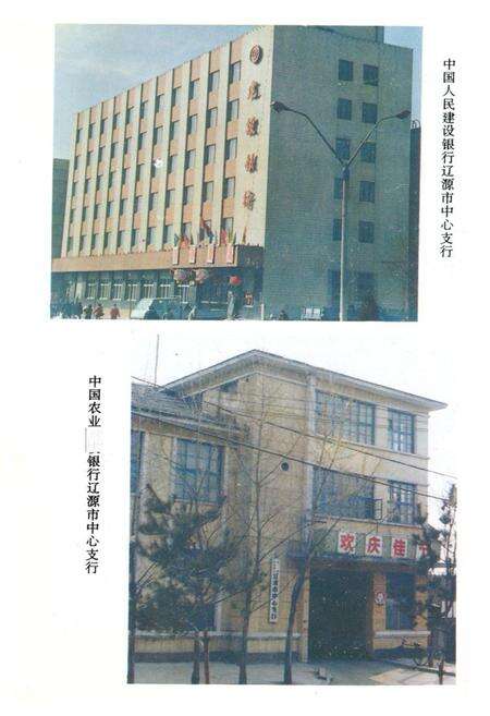 《《辽源市金融志》》.pdf_吉林省志预览图5