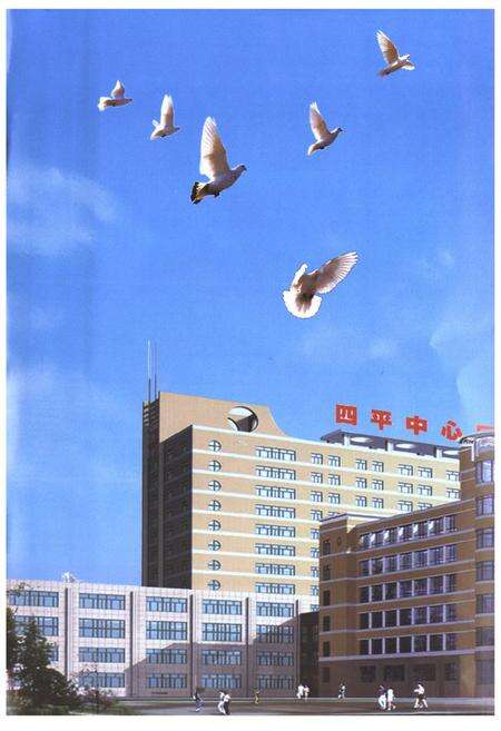 《四平市中心人民医院志(1995-2007)》.pdf_吉林省志预览图2