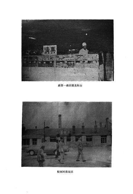 《蛟河县民族志》.pdf_吉林省志预览图4