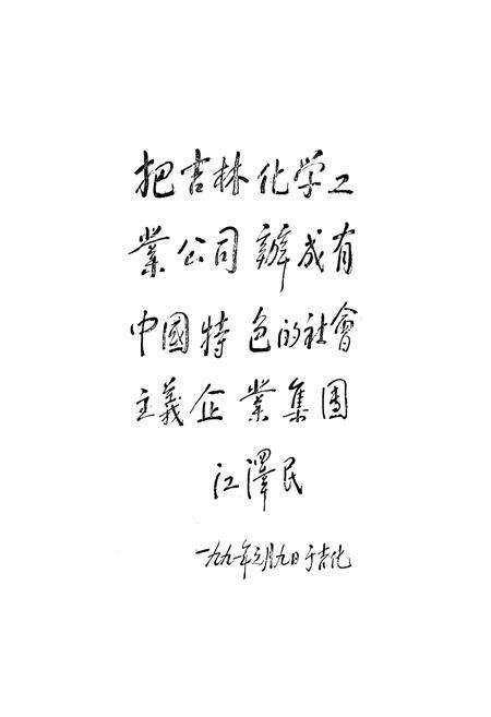 《吉林化学工业公司电石厂志(1955-1988)》.pdf_吉林省志预览图1