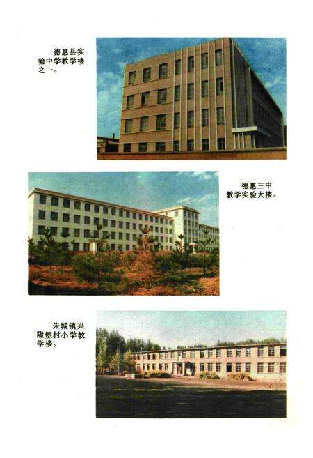 《德惠县教育志(1910-1988)》.pdf_吉林省志预览图5