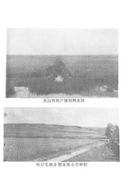 《前郭水田开发志》.pdf_吉林省志预览图4
