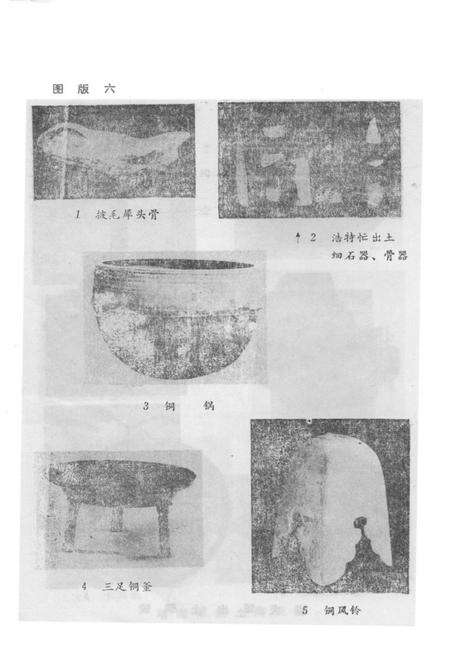 《前郭儿罗斯蒙古族自治县文物志》.pdf_吉林省志预览图5