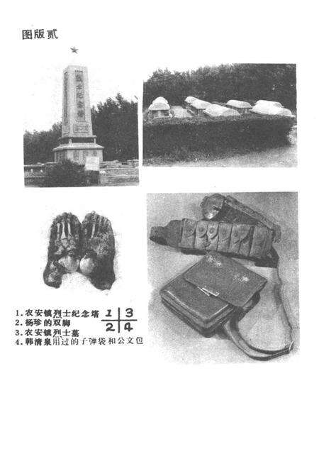 《农安县文物志》.pdf_吉林省志预览图4