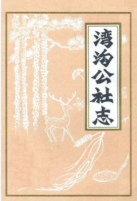 《湾沟公社志》.pdf_吉林省志缩略图
