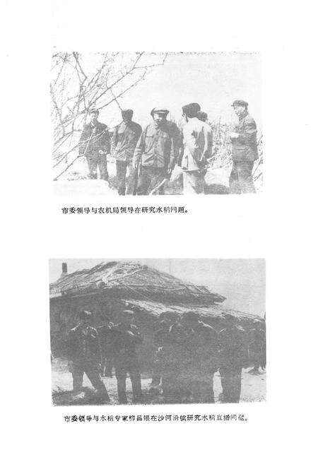 《敦化市农业机械化志》.pdf_吉林省志预览图5