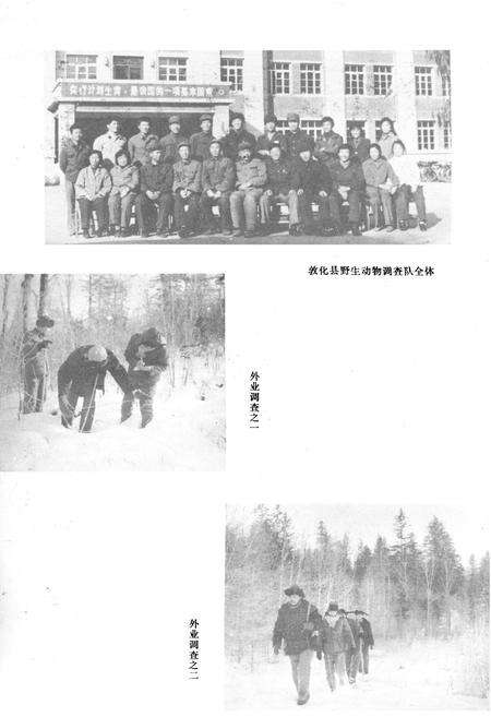 《敦化县野生动物简志》.pdf_吉林省志预览图2