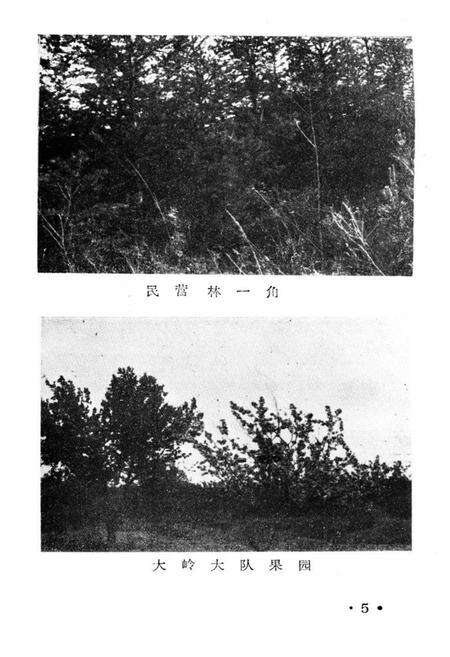 《《伊丹乡土志》》.pdf_吉林省志预览图5