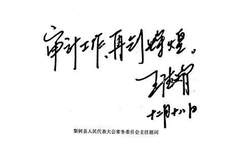 《《梨树县审计志》》.pdf_吉林省志预览图4