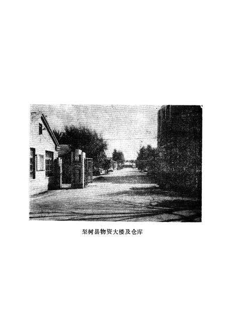 《《梨树县物资志》》.pdf_吉林省志预览图2