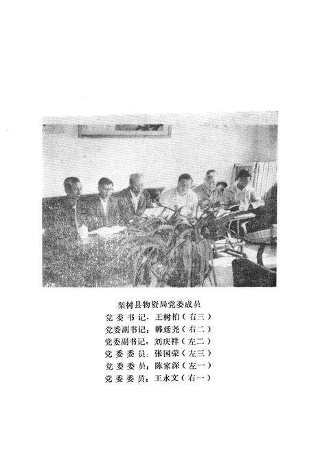 《《梨树县物资志》》.pdf_吉林省志预览图4