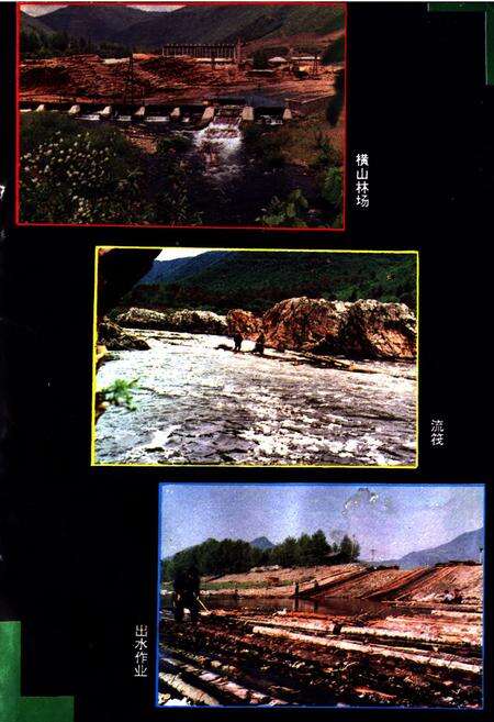 《《长白朝鲜族自治县林业志》》.pdf_吉林省志预览图3