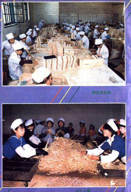 《《长白朝鲜族自治县林业志》》.pdf_吉林省志预览图4