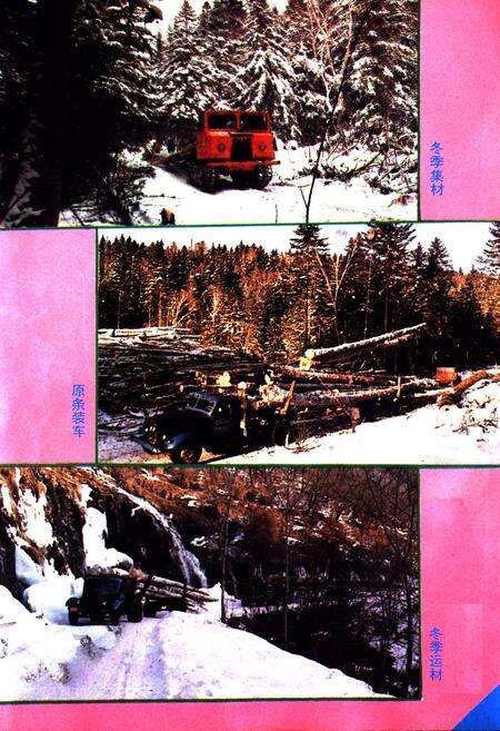 《《长白朝鲜族自治县林业志》》.pdf_吉林省志预览图5