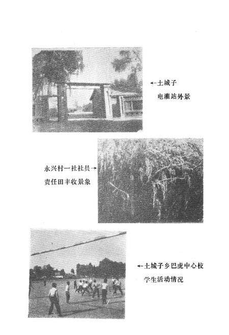 《《土城子满族朝鲜族乡志》》.pdf_吉林省志预览图4