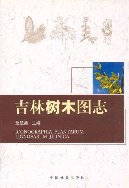《吉林树木图志》.pdf_吉林省志缩略图