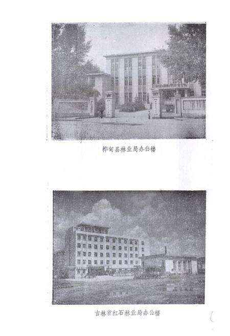 《桦甸县林业志》.pdf_吉林省志预览图5