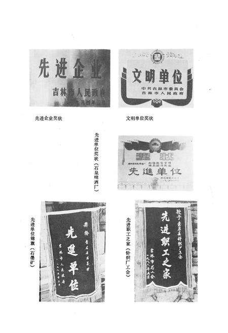 《《磐石县经委志》》.pdf_吉林省志预览图4