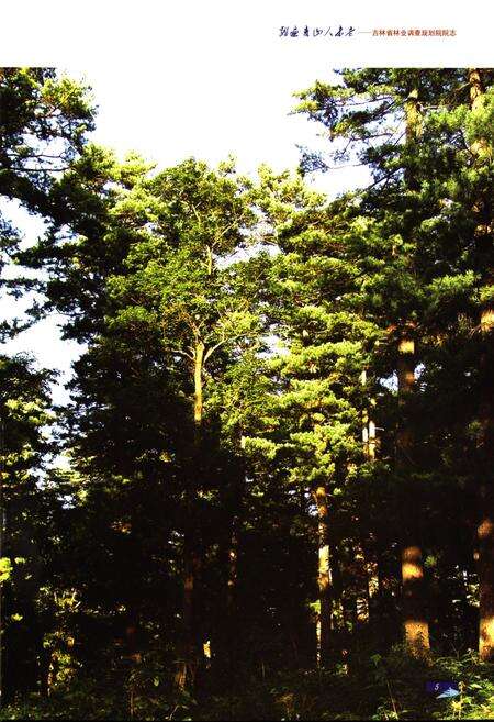 《踏遍青山人未老–吉林省林业调查规划院院志1950-2010》.pdf_吉林省志预览图5