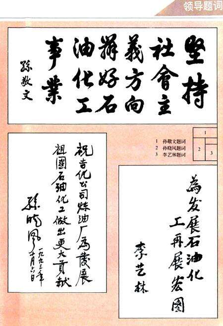 《吉林化学工业公司炼油厂志(1970-1988)》.pdf_吉林省志预览图3