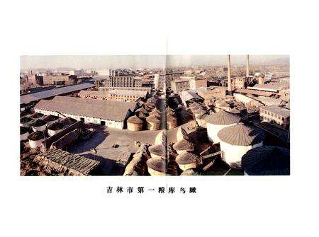 《吉林市第一粮库志》.pdf_吉林省志预览图3