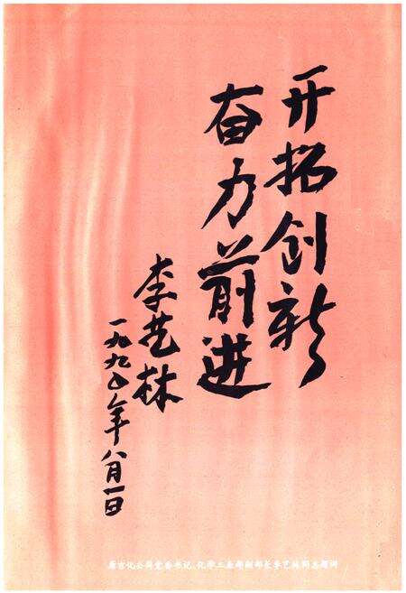 《吉林化学工业公司试剂厂志(1961-1988)》.pdf_吉林省志预览图3