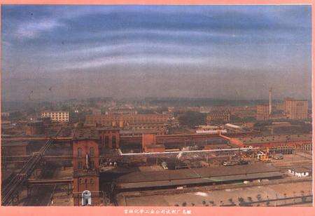 《吉林化学工业公司试剂厂志(1961-1988)》.pdf_吉林省志预览图5