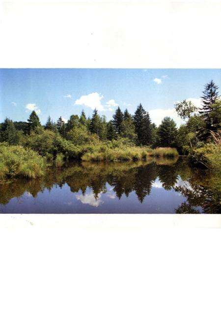 《三岔子林业局志1986-2008》.pdf_吉林省志预览图4