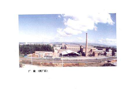 《《延边公路客车厂厂志》》.pdf_吉林省志预览图3