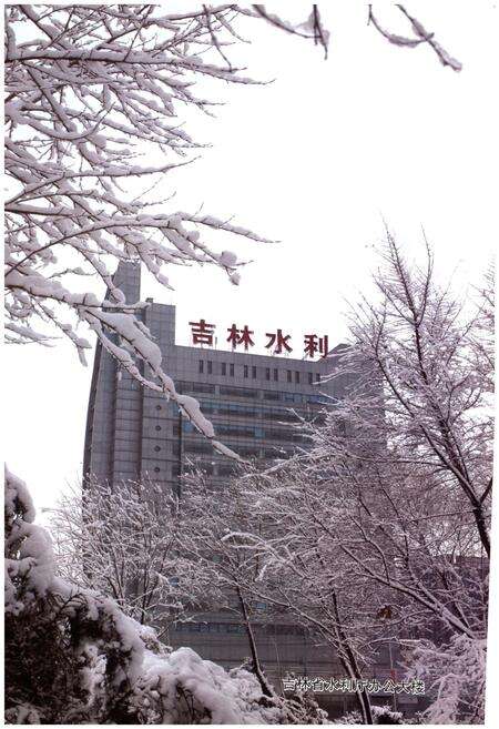 《吉林省部门史 省水利厅卷 1948-2003》.pdf_吉林省志预览图3