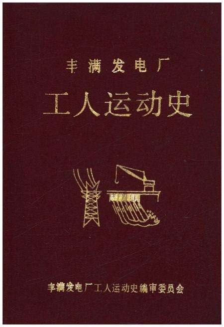 《丰满发电厂工人运动史 1937-1985》.pdf_吉林省志缩略图