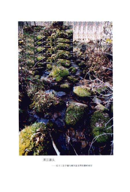 《江源县志（1985-2005）》.pdf_吉林省志预览图4