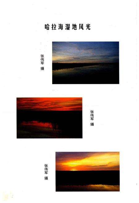 《哈拉海50周年纪事》.pdf_吉林省志预览图5