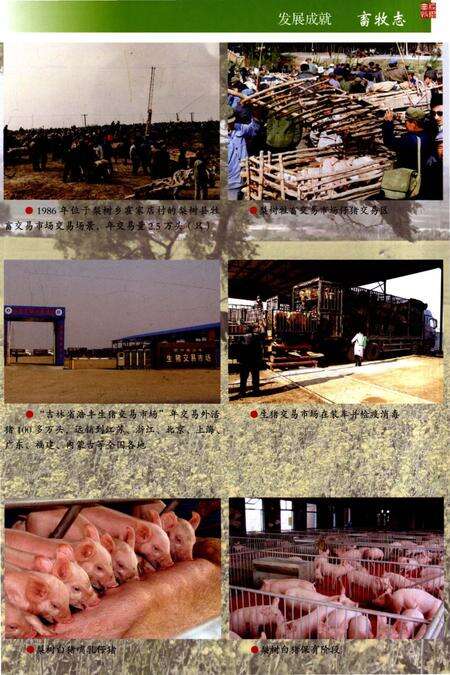 《梨树县畜牧志》.pdf_吉林省志预览图4