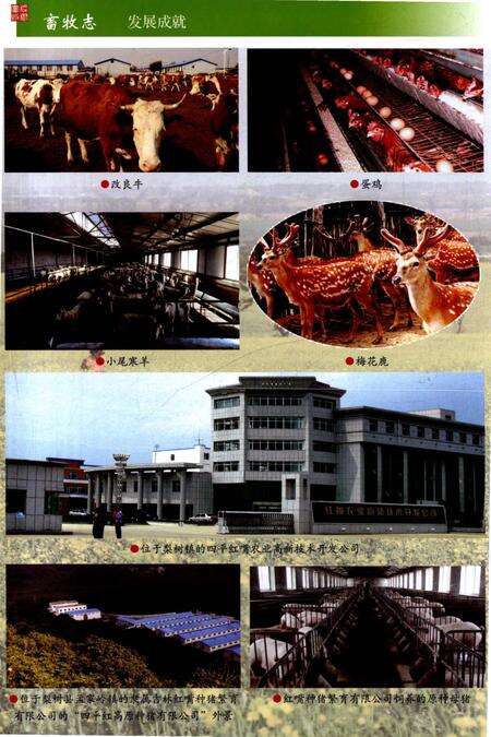 《梨树县畜牧志》.pdf_吉林省志预览图5