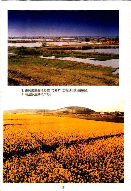 《溧水县土地管理志》.pdf_江苏省志预览图4