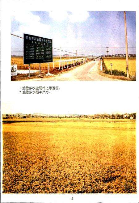 《溧水县土地管理志》.pdf_江苏省志预览图5