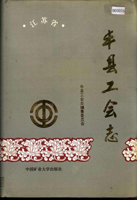 《丰县工会志》.pdf_江苏省志缩略图