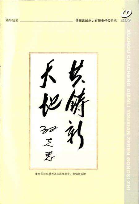 《徐州垞城电力有限责任公司志》.pdf_江苏省志预览图3
