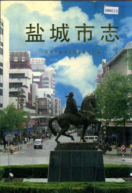 《盐城市志 上》.pdf_江苏省志缩略图