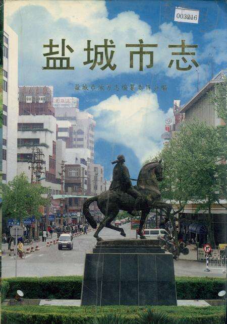 《盐城市志 中》.pdf_江苏省志缩略图