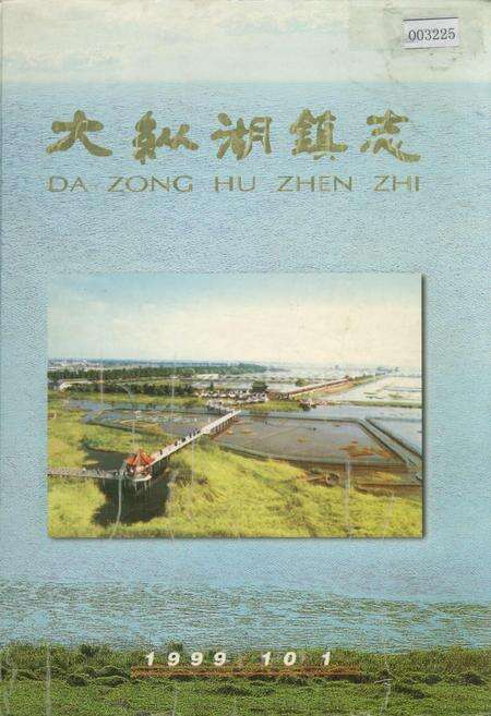 《大纵湖镇志》.pdf_江苏省志缩略图
