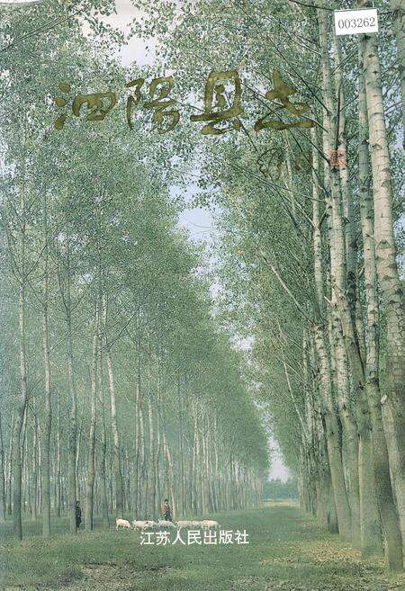 《泗阳县志》.pdf_江苏省志缩略图